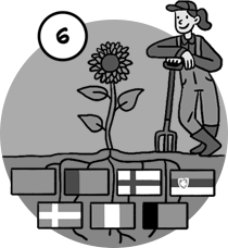 q6